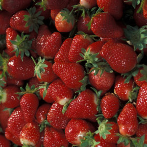 Strawberries picture from https://www.ars.usda.gov/is/graphics/photos/aug97/k7726-1.htm