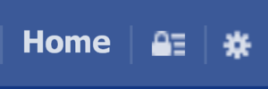 Facebook Security Icon